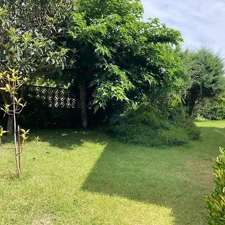 Vigo, Naturaleza, Costa Da Vela, Nerga, Cangas Do Morrazo *